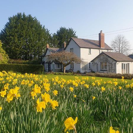 Lower House B&B Adforton Leintwardine Экстерьер фото